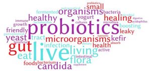 Probiotics Supplements 