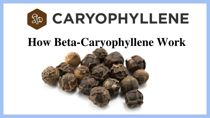 terpenes that help with inflammation